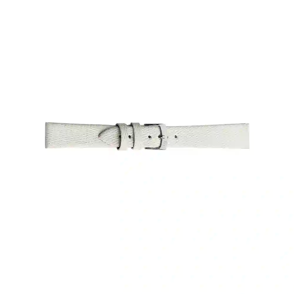 Watch strap/A01D0116372017CR10