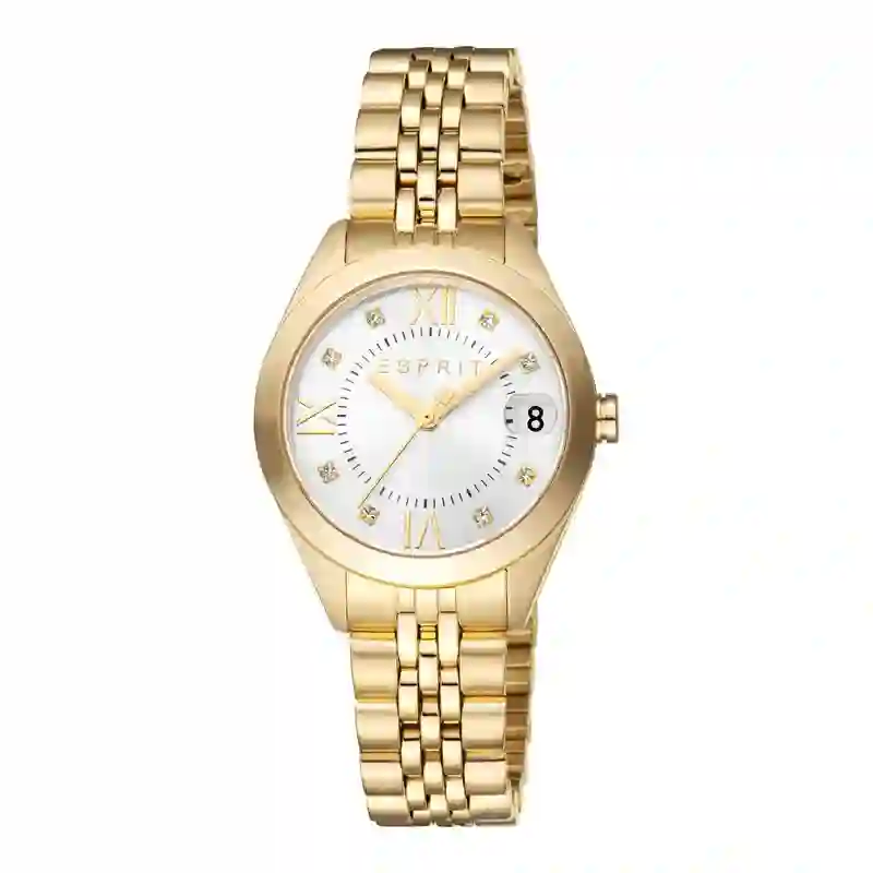 Esprit Ladies Wristwatch/ ES1L295M2025