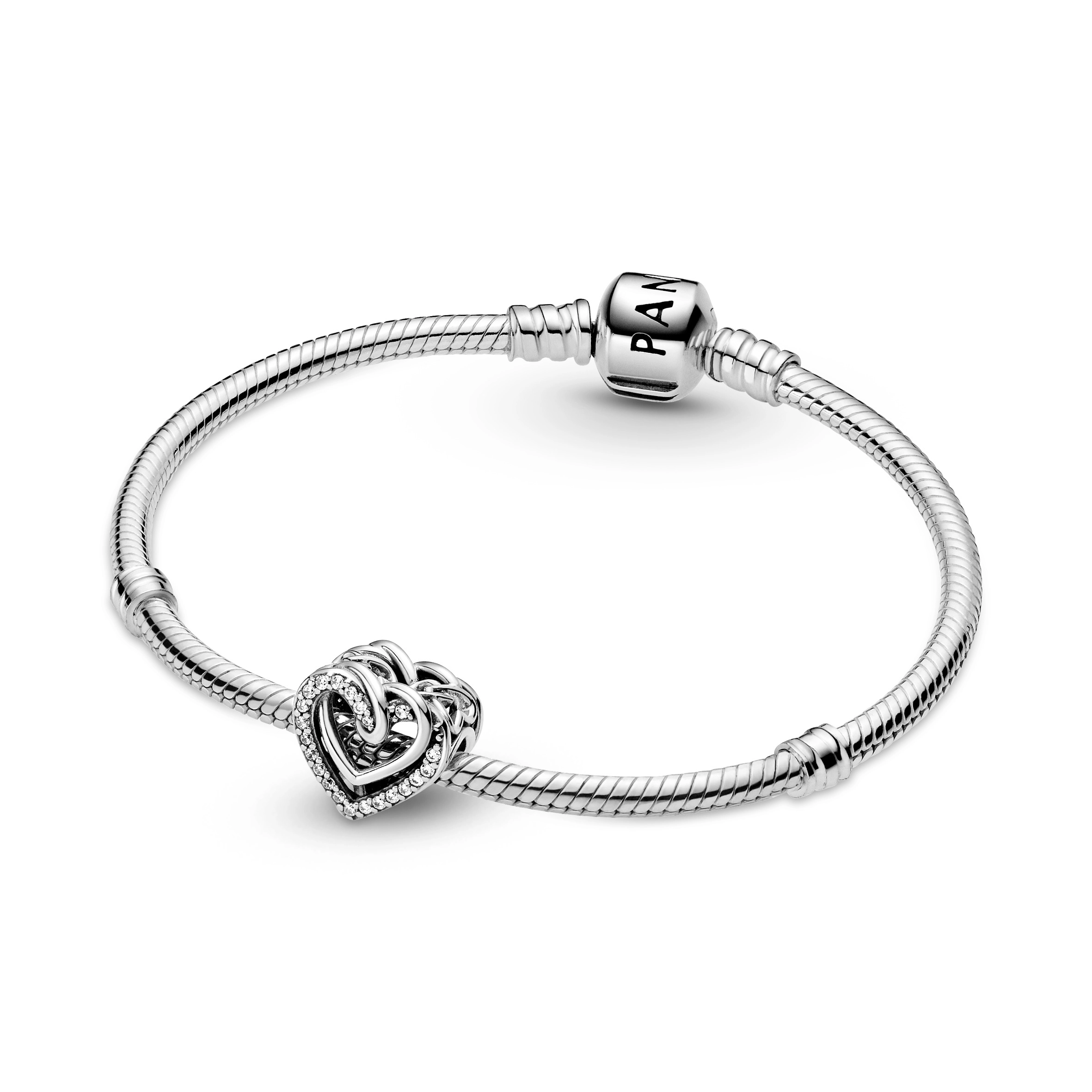 PANDORA Moments Արծաթյա Չարմ/ 799270C01