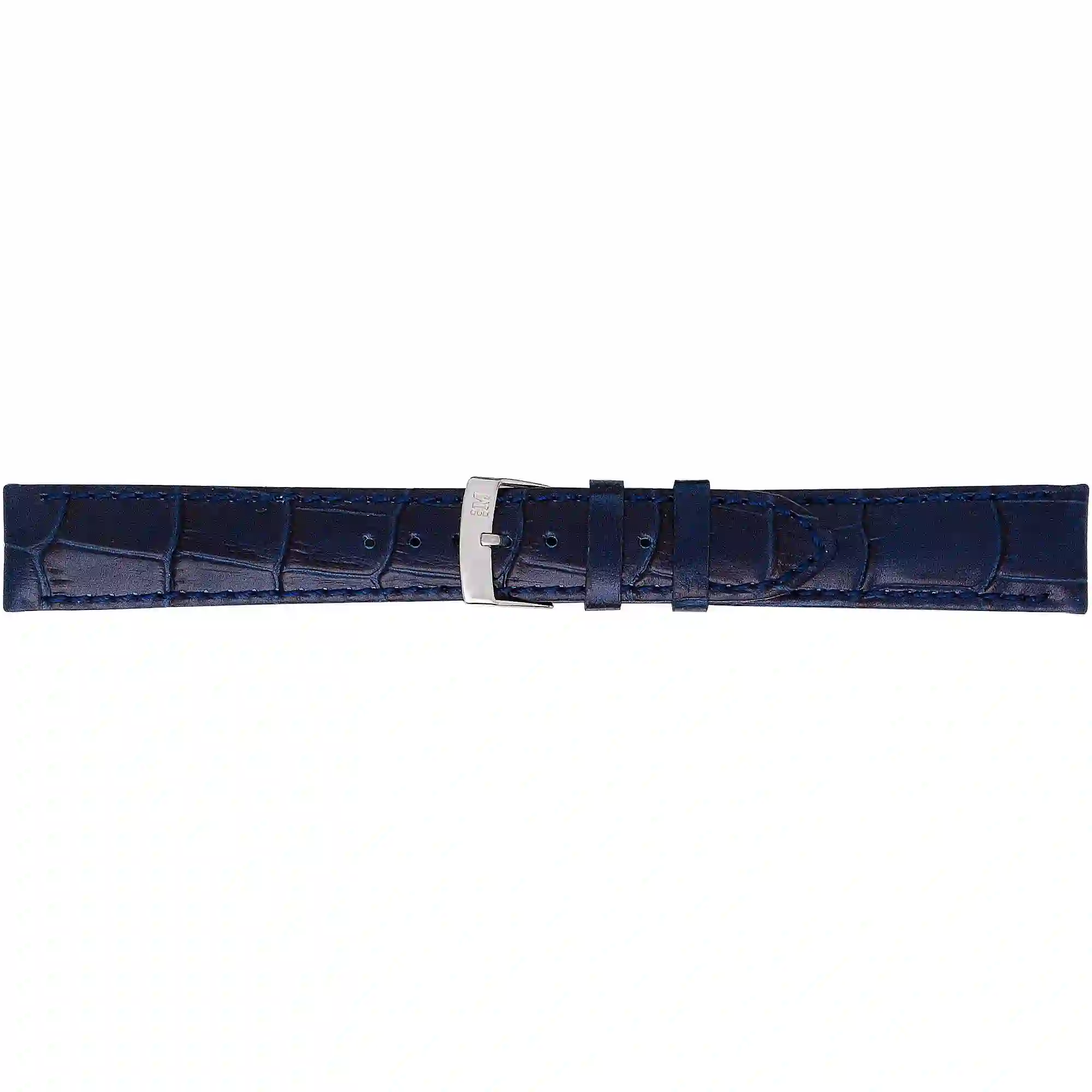 Watch strap/A01X2704656062CR18