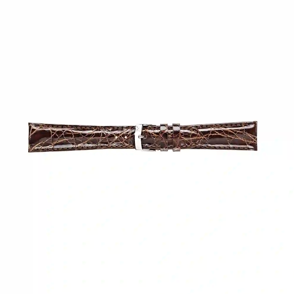 Watch strap/A01U0518052034CR20