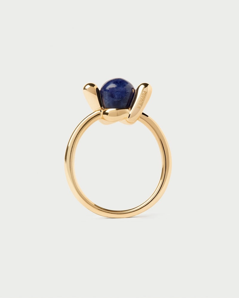 PDPAOLA 18K Gold Plated Silver Ring/ AN01-D21-12