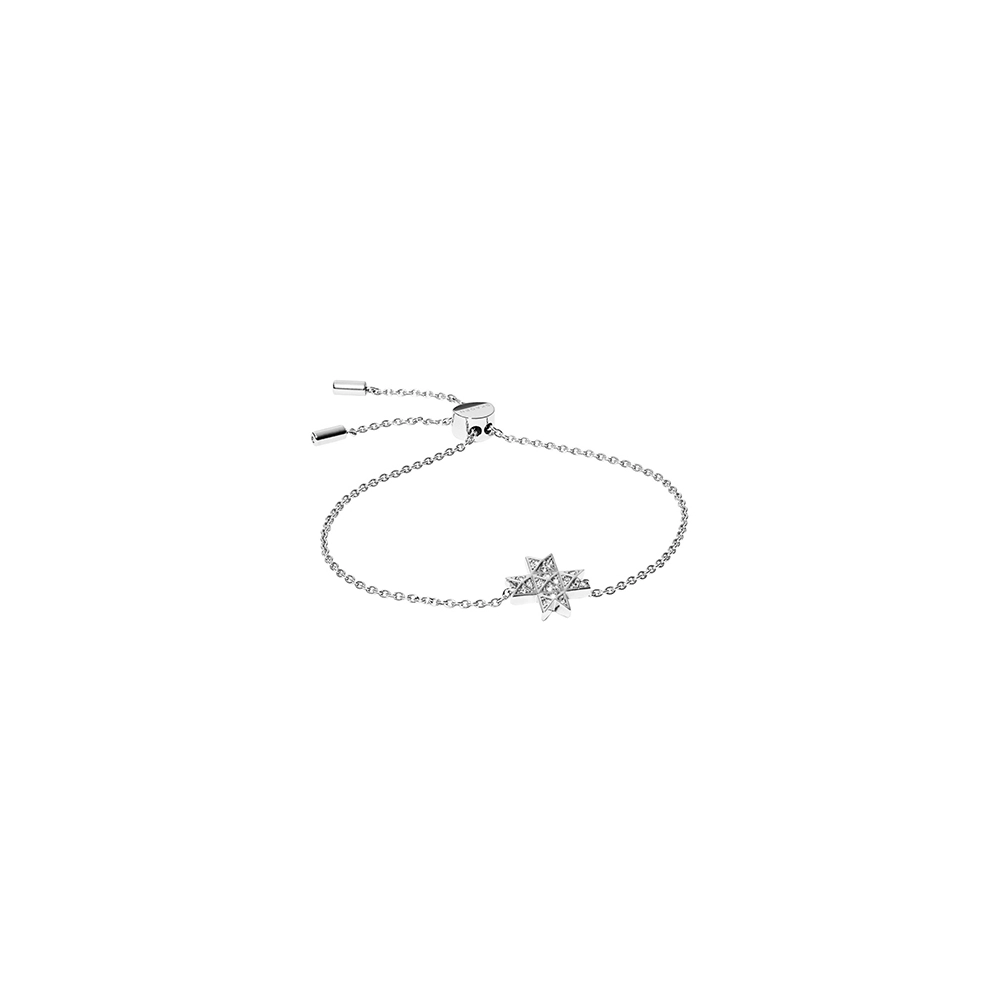 Skagen Թևնոց/ SKJ1261040
