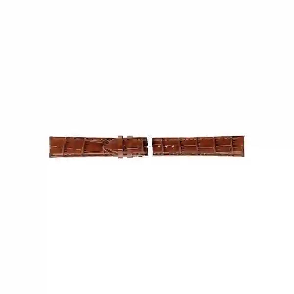 Watch strap/A01X5203480041CR20