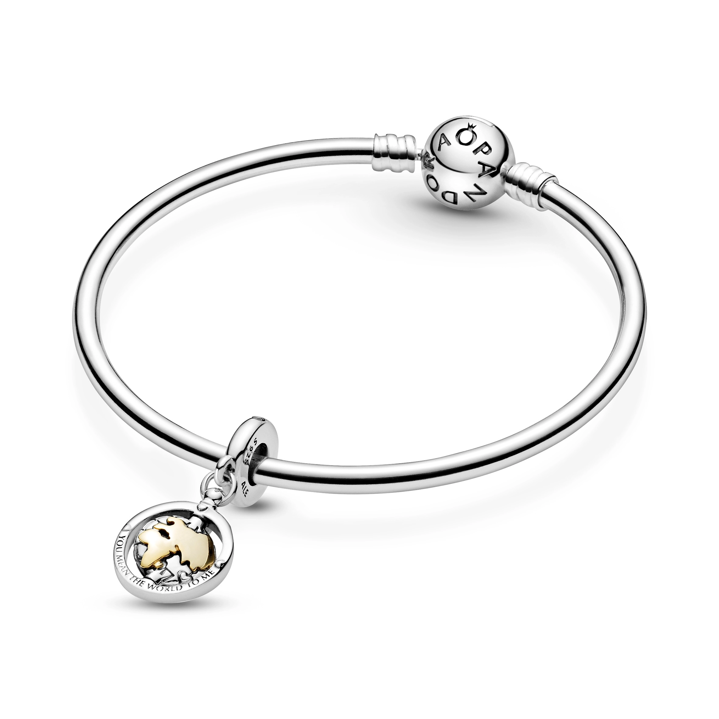 PANDORA Moments Արծաթյա Չարմ/ 799303C01