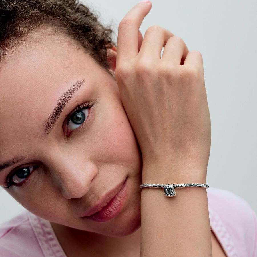 PANDORA Moments Серебряный Шарм/ 793351C00