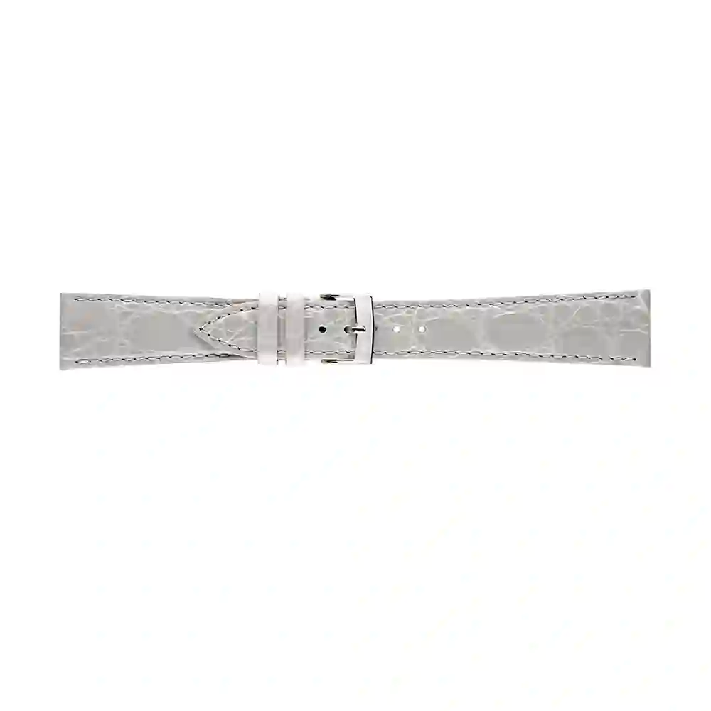 Watch strap/A01X2197052093CR18