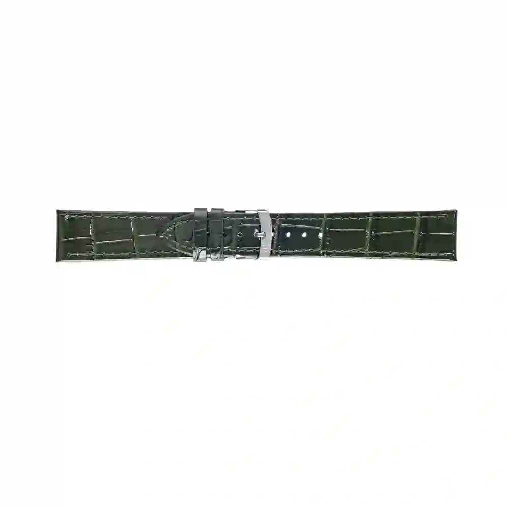 Watch strap/A01X2524656171CR20
