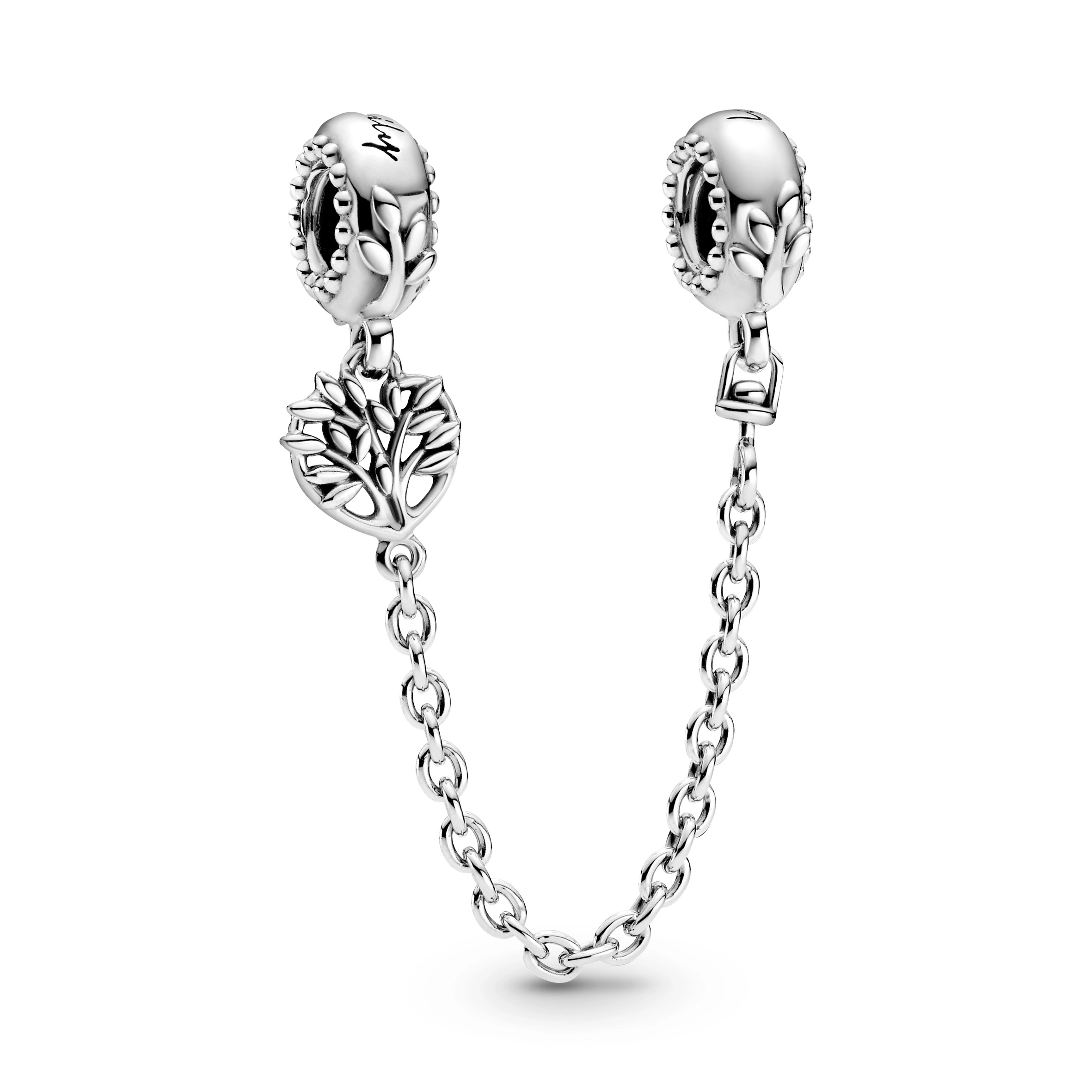 PANDORA Moments Արծաթյա Չարմ/ 799293C00-05