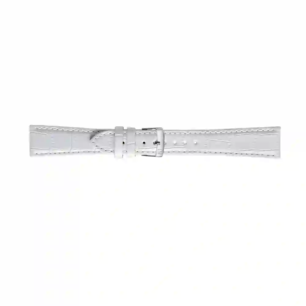 Watch strap/A01X4473B43017CR12