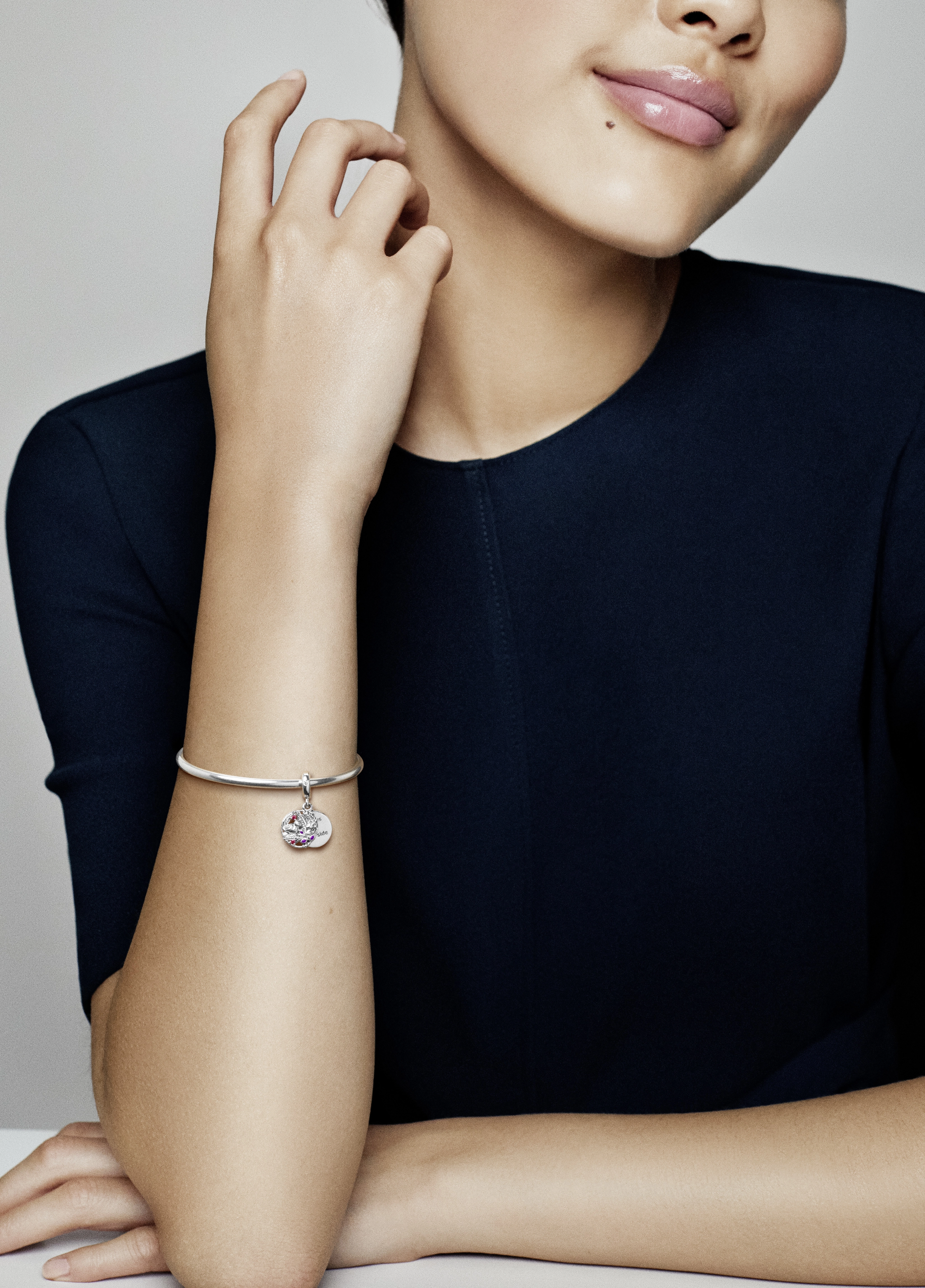 PANDORA Moments Silver Charm/ 797671CZRMX