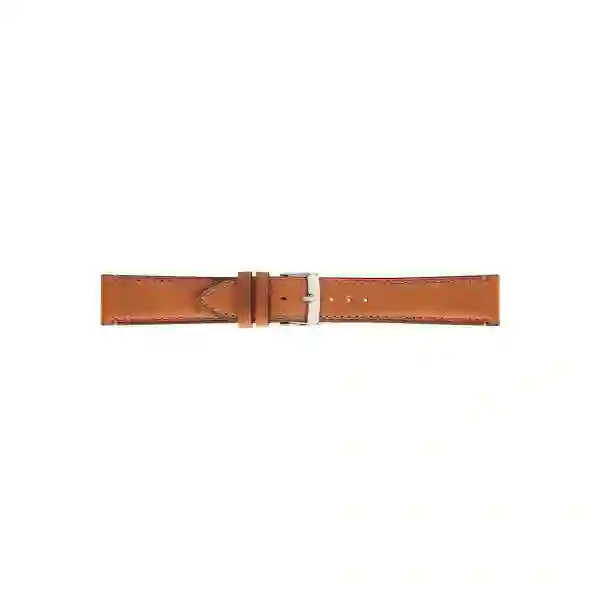 Watch strap/A01X5439B71046CR20