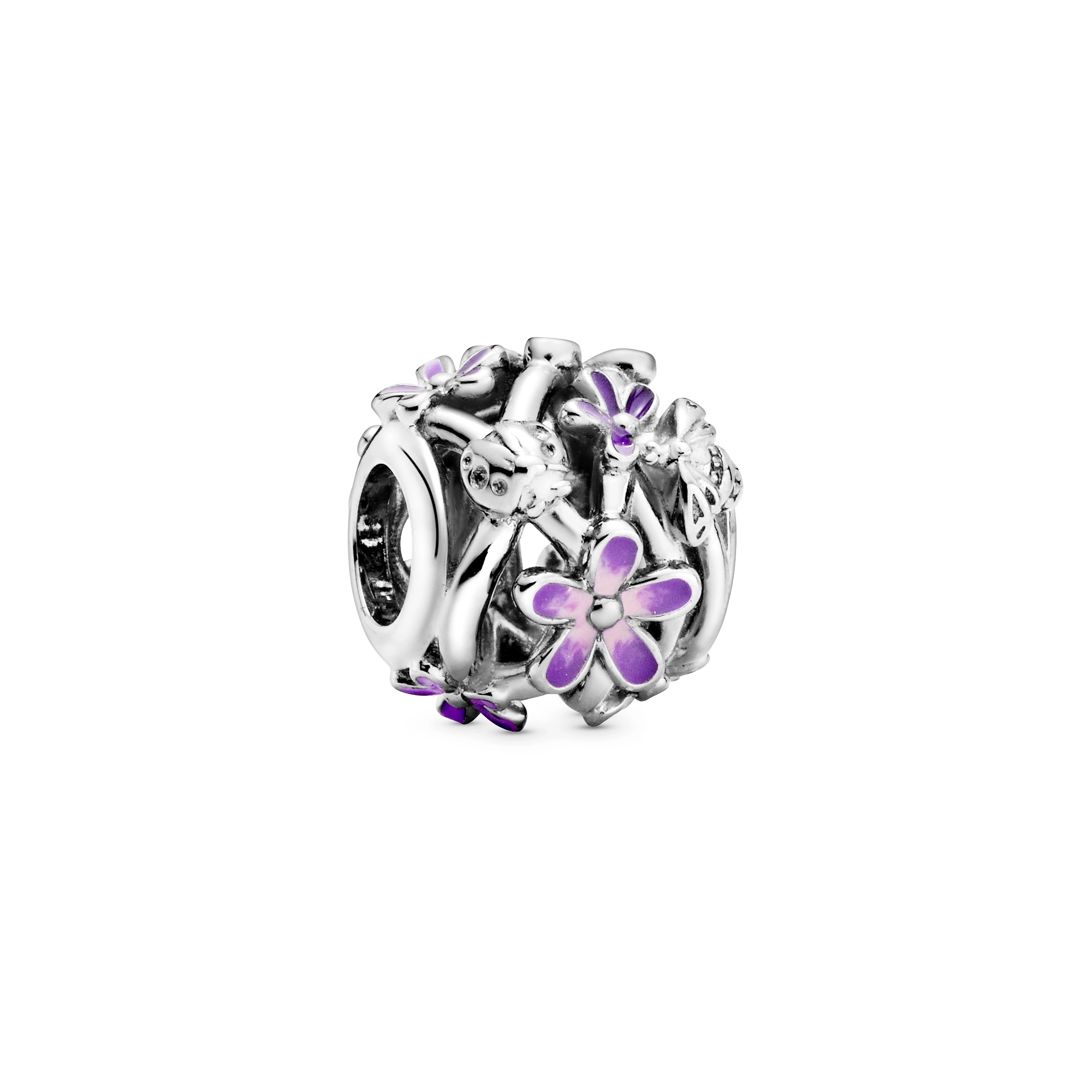 PANDORA Moments Արծաթյա Չարմ/ 798772C02