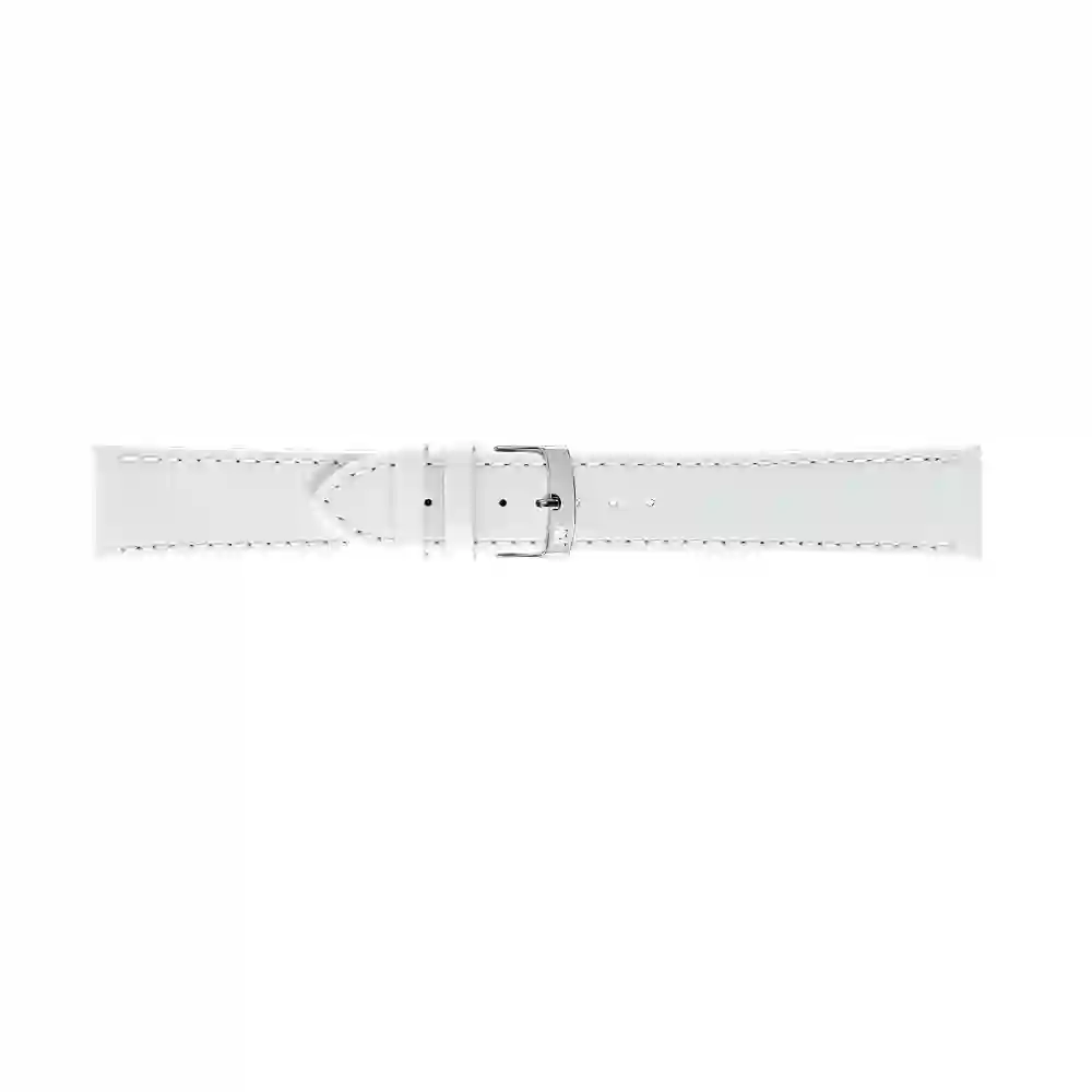 Watch strap/A01X5202875017CR10