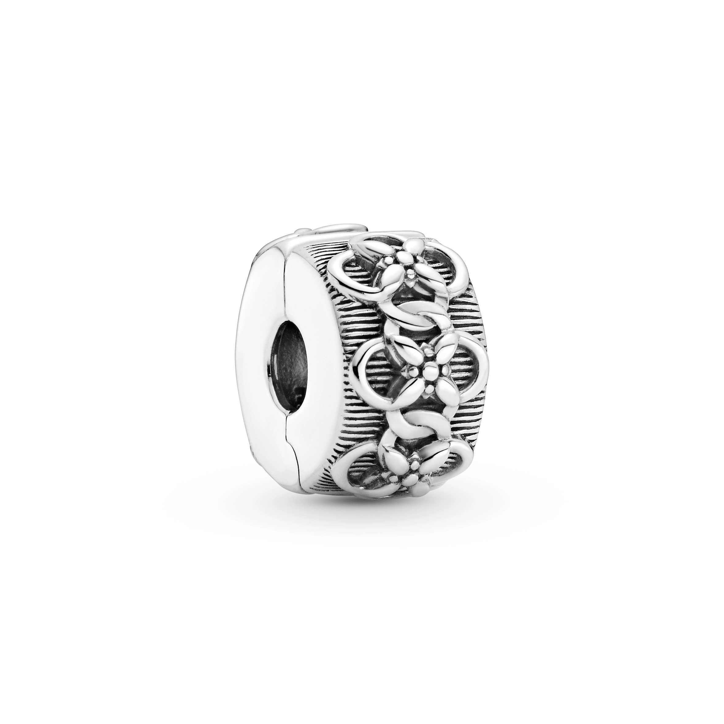 PANDORA Moments Արծաթյա Չարմ/ 799316C00