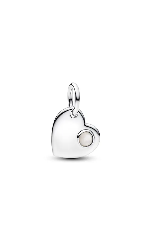 Pandora Moments Silver Charm/ 794295C06
