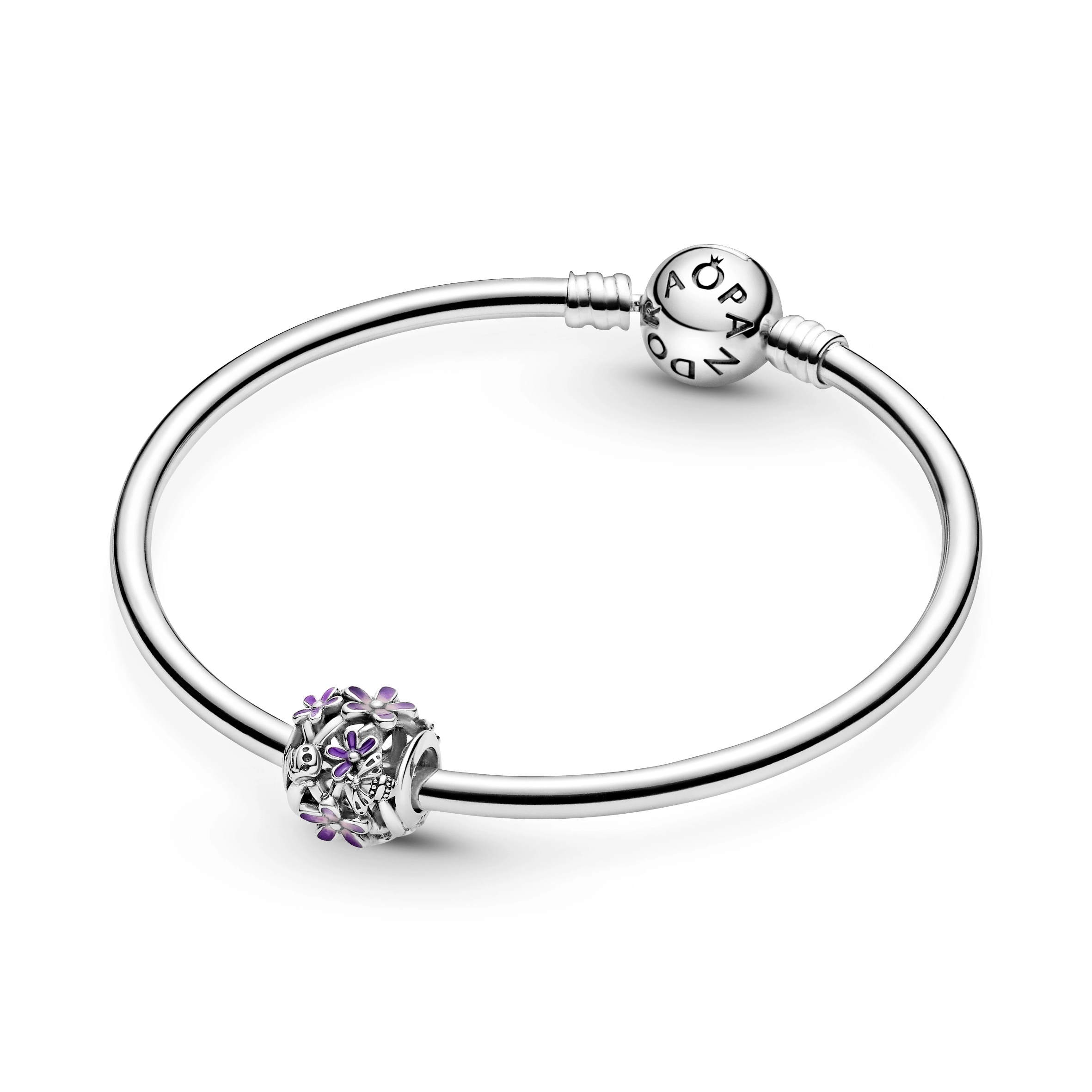 PANDORA Moments Արծաթյա Չարմ/ 798772C02