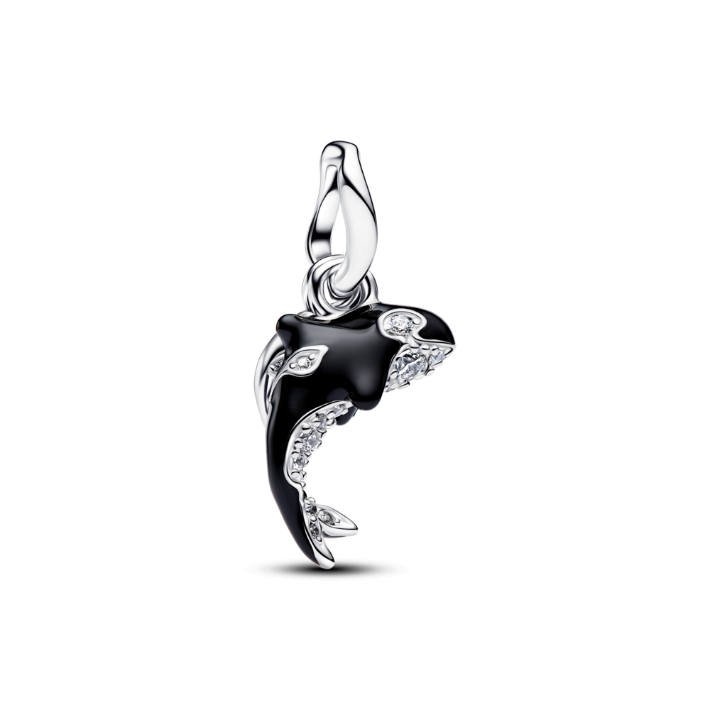 Pandora Moments Silver Charm/ 794683C01