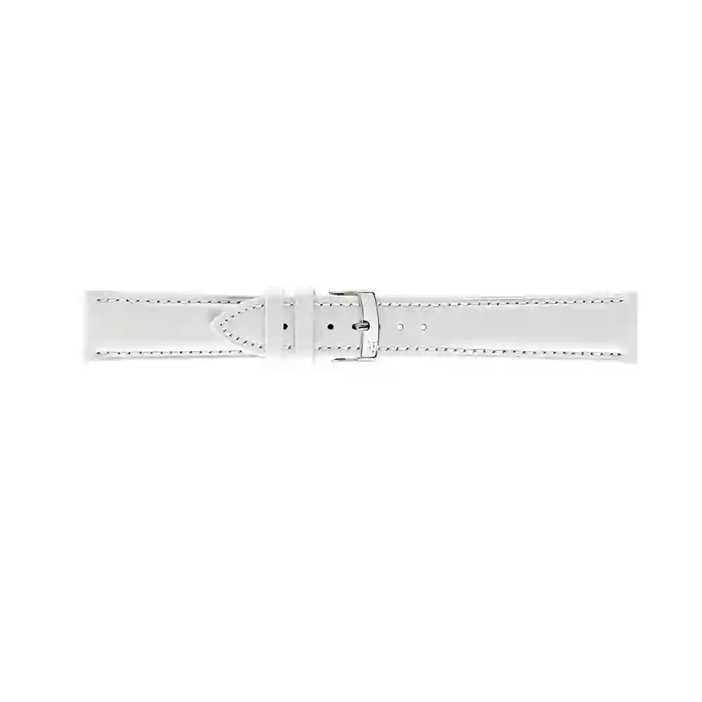 Watch strap/A01X3935A69017CR16