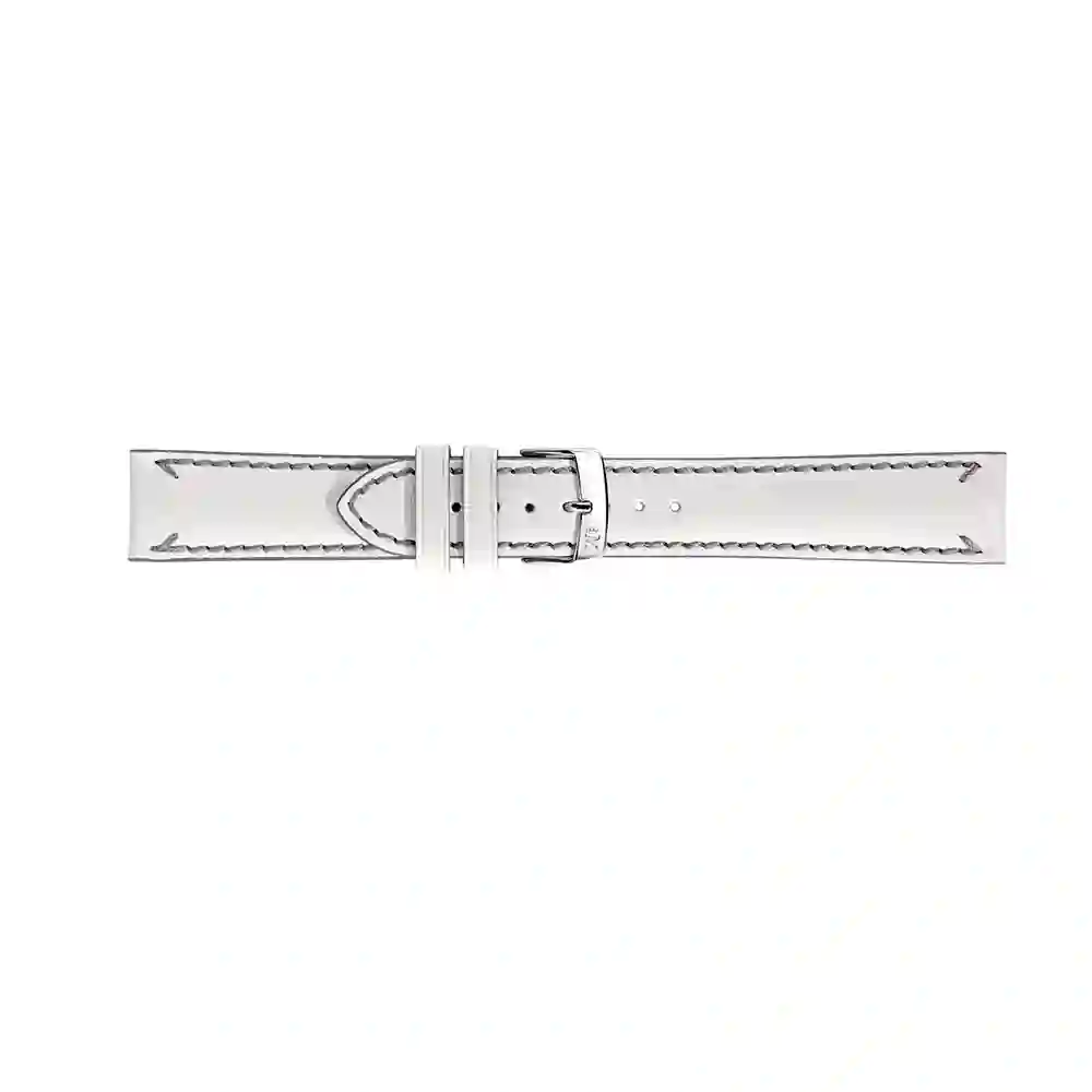 Watch strap/A01X4540A61017CR18