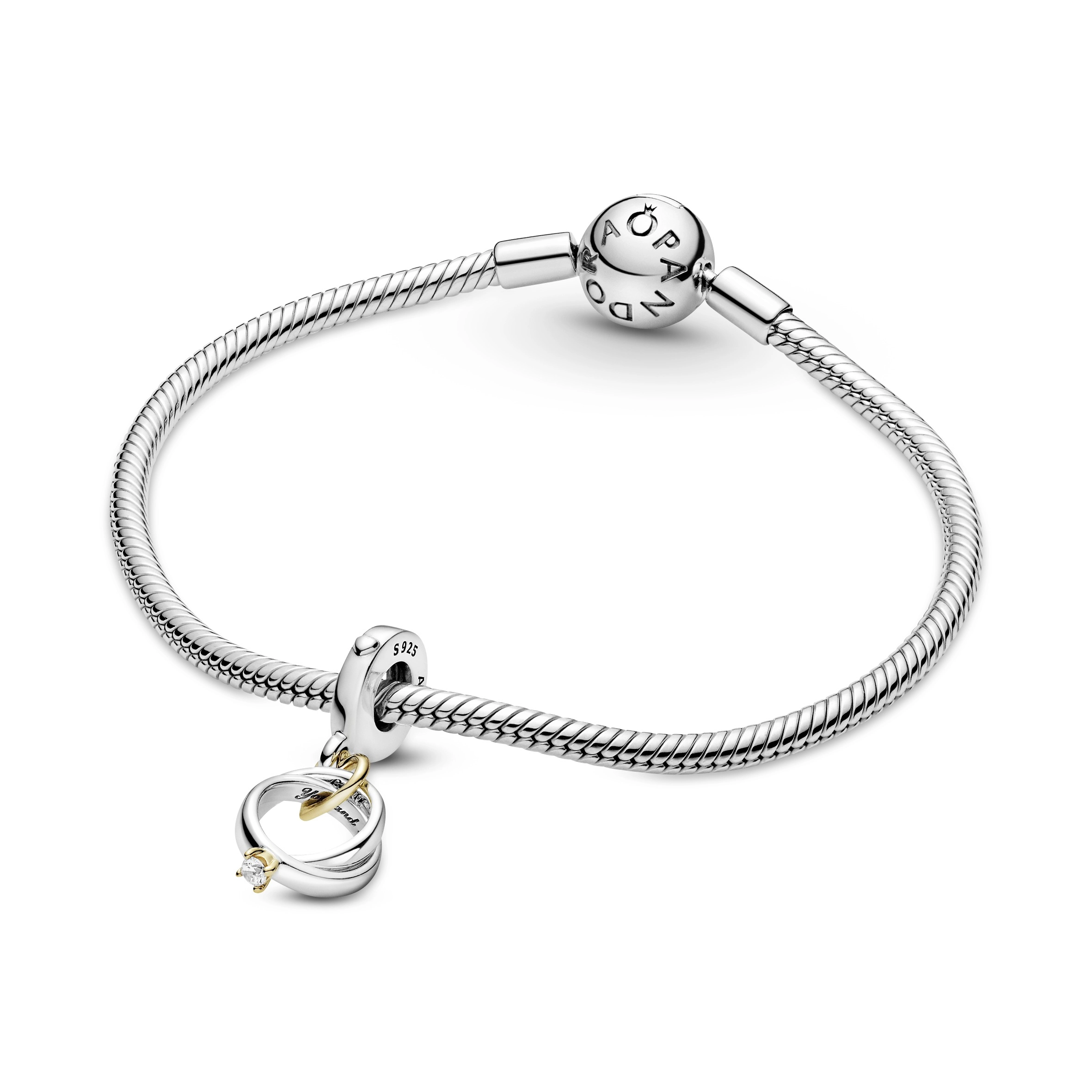 PANDORA Moments Արծաթյա Չարմ/ 799319C01