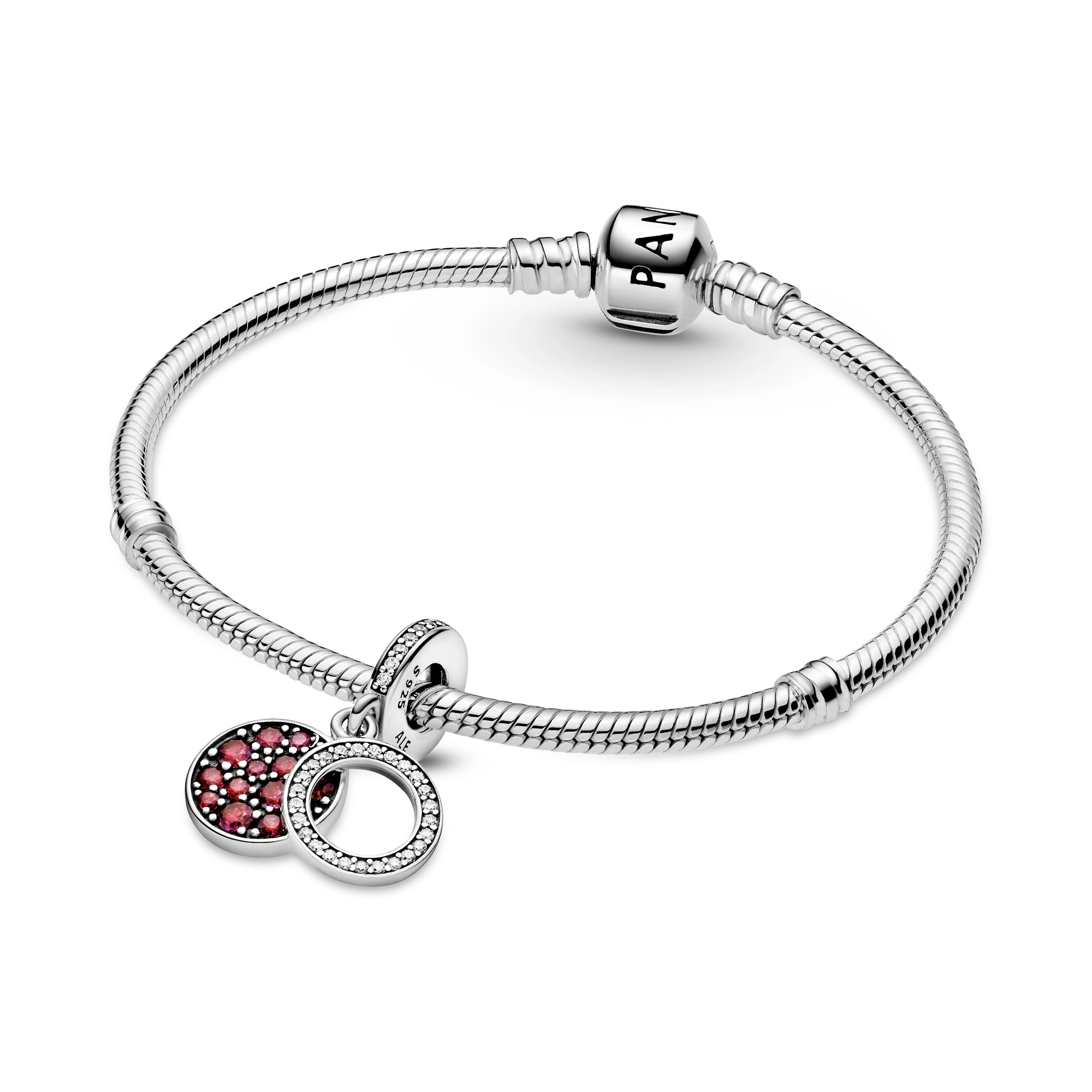 PANDORA Moments Արծաթյա Չարմ/ 799186C03
