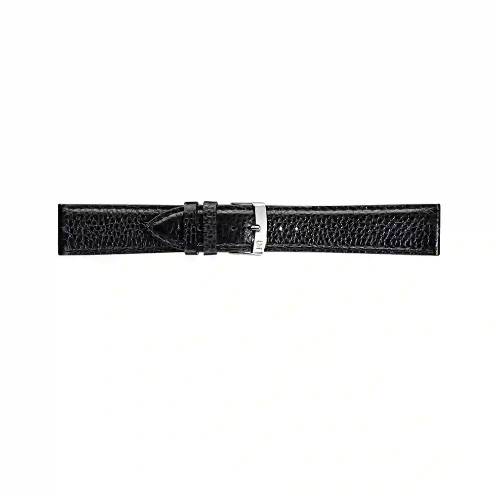 Watch strap/A01X4596B61019CR18