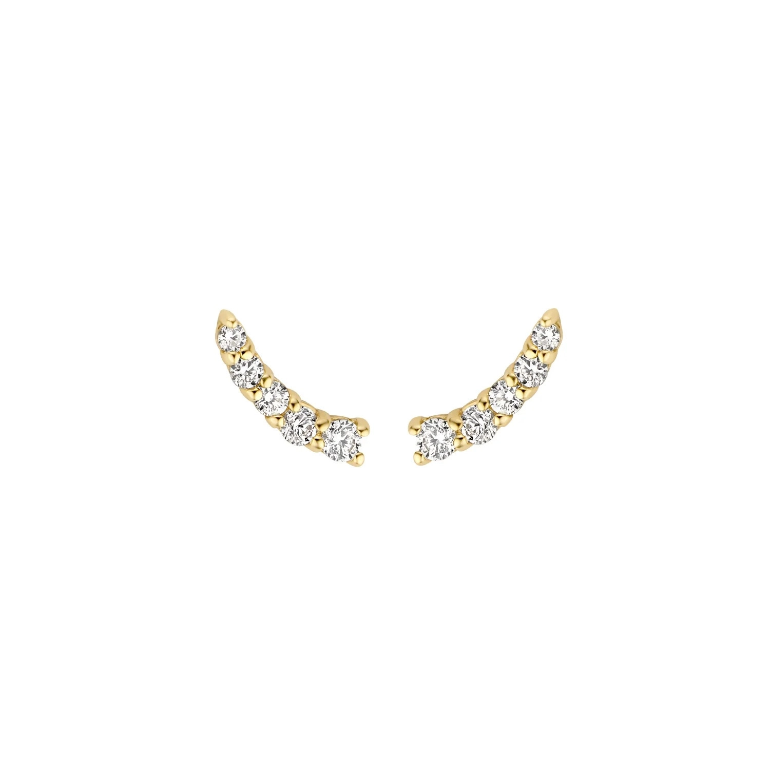 Blush 14K ոսկյա Ականջօղ/ 7319YZI