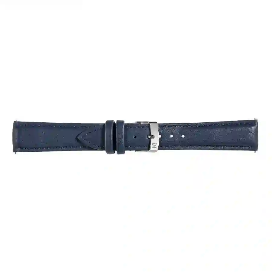 Watch strap/A01D5050C47061CR18
