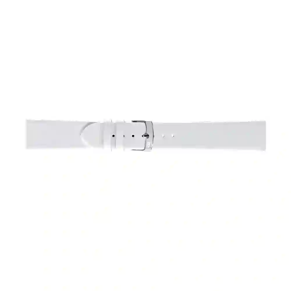 Watch strap/A01X2443875017CR20