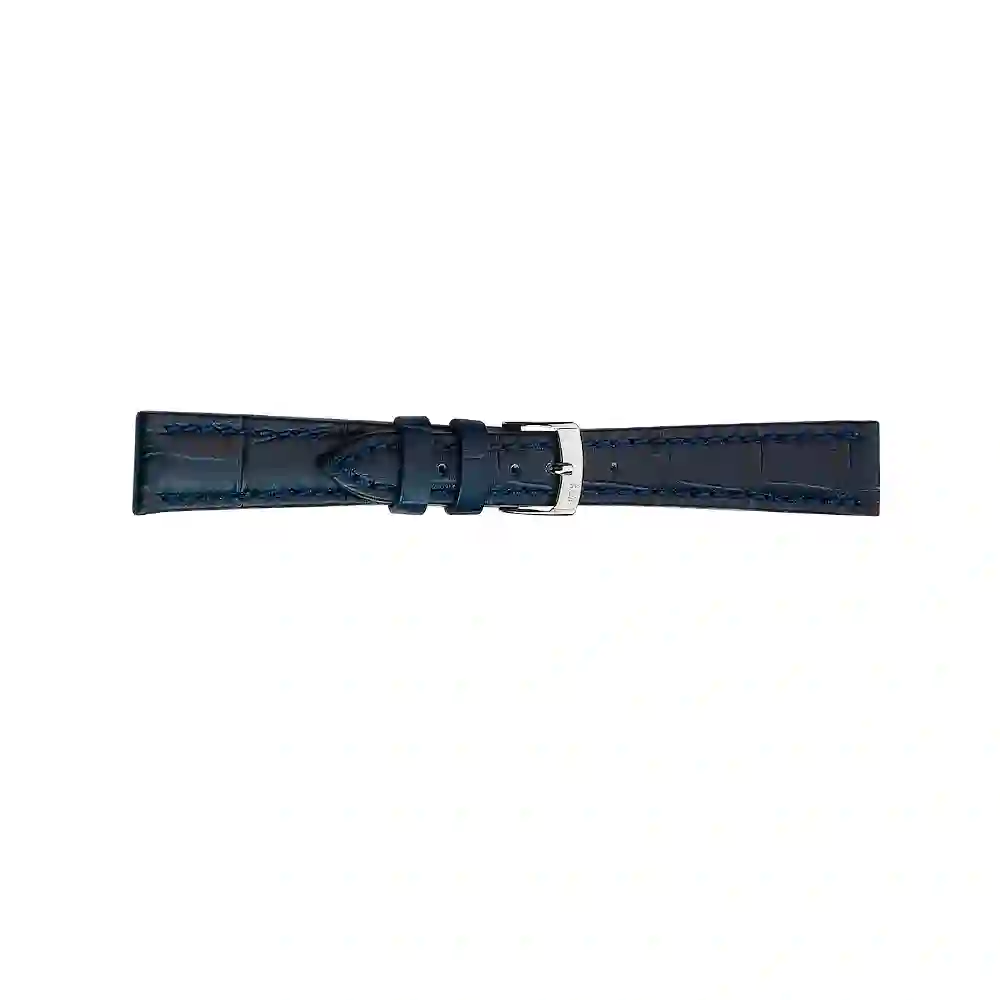 Watch strap/A01X2269480061CR14