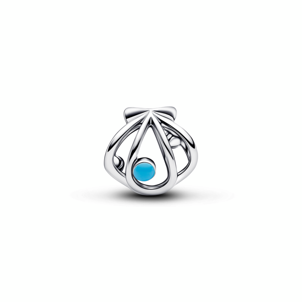 Pandora Moments Silver Charm/ 794695C01
