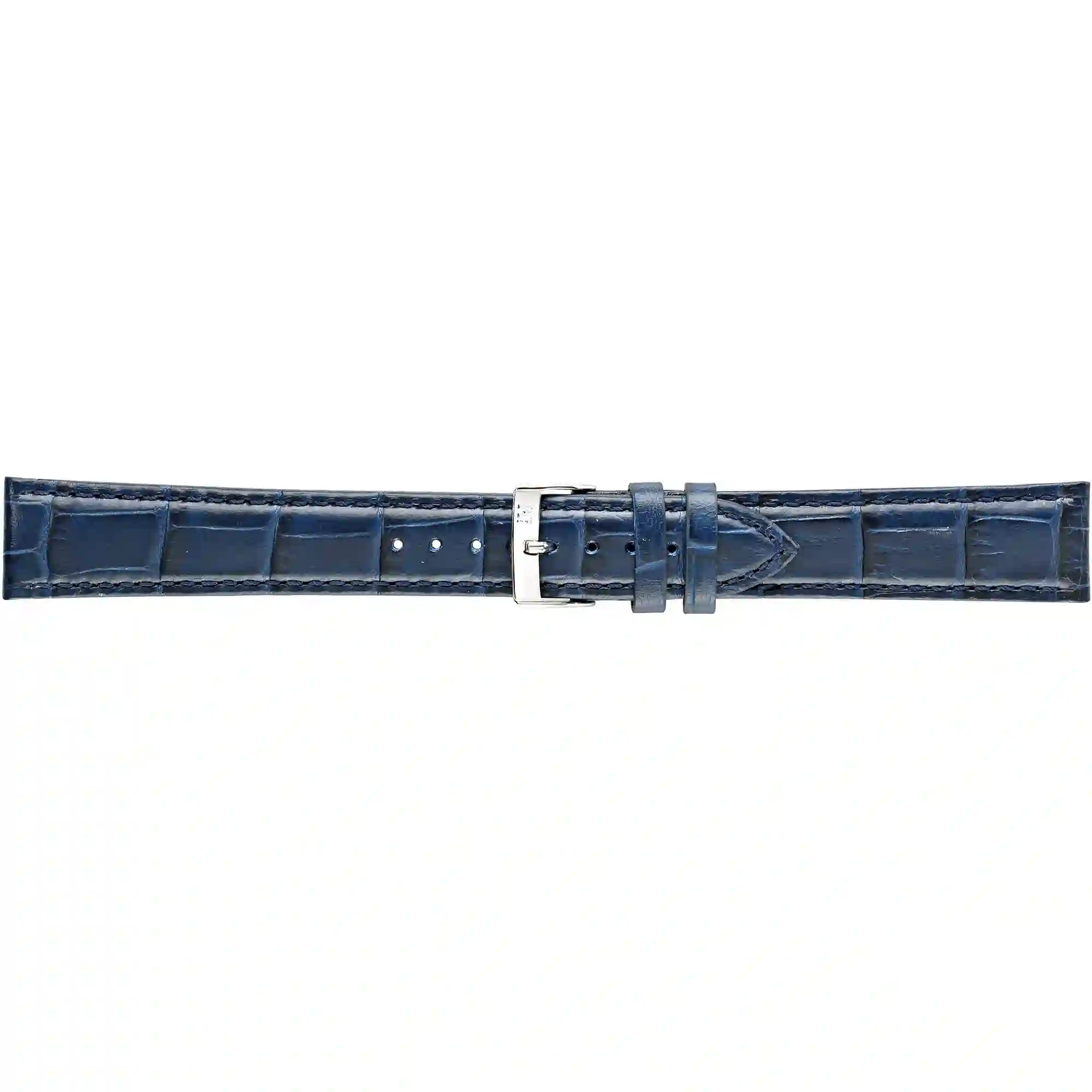 Watch strap/A01Y2269480061CR20