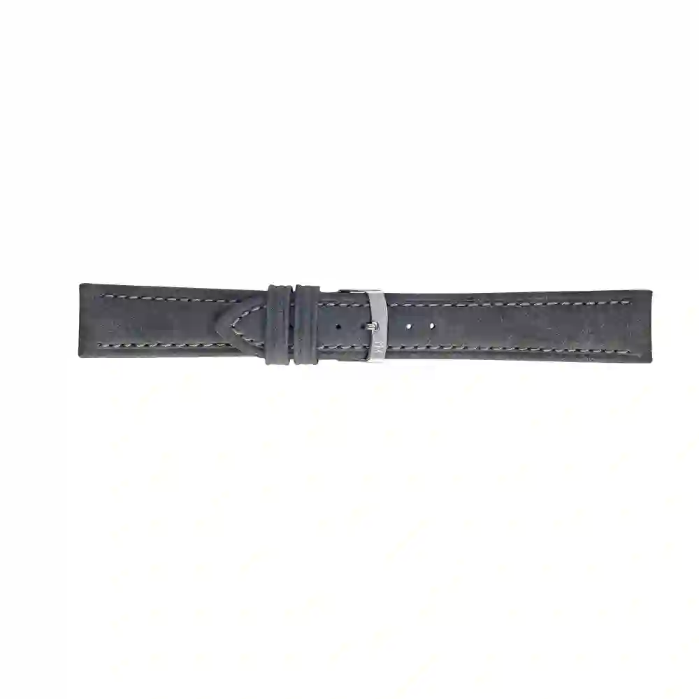 Watch strap/A01X4734B82019CR24