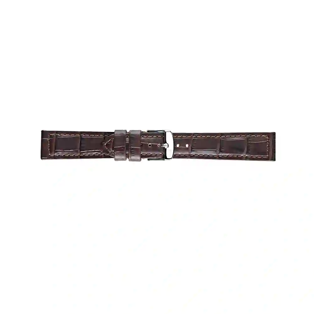 Watch strap/A01U2226480032CR24