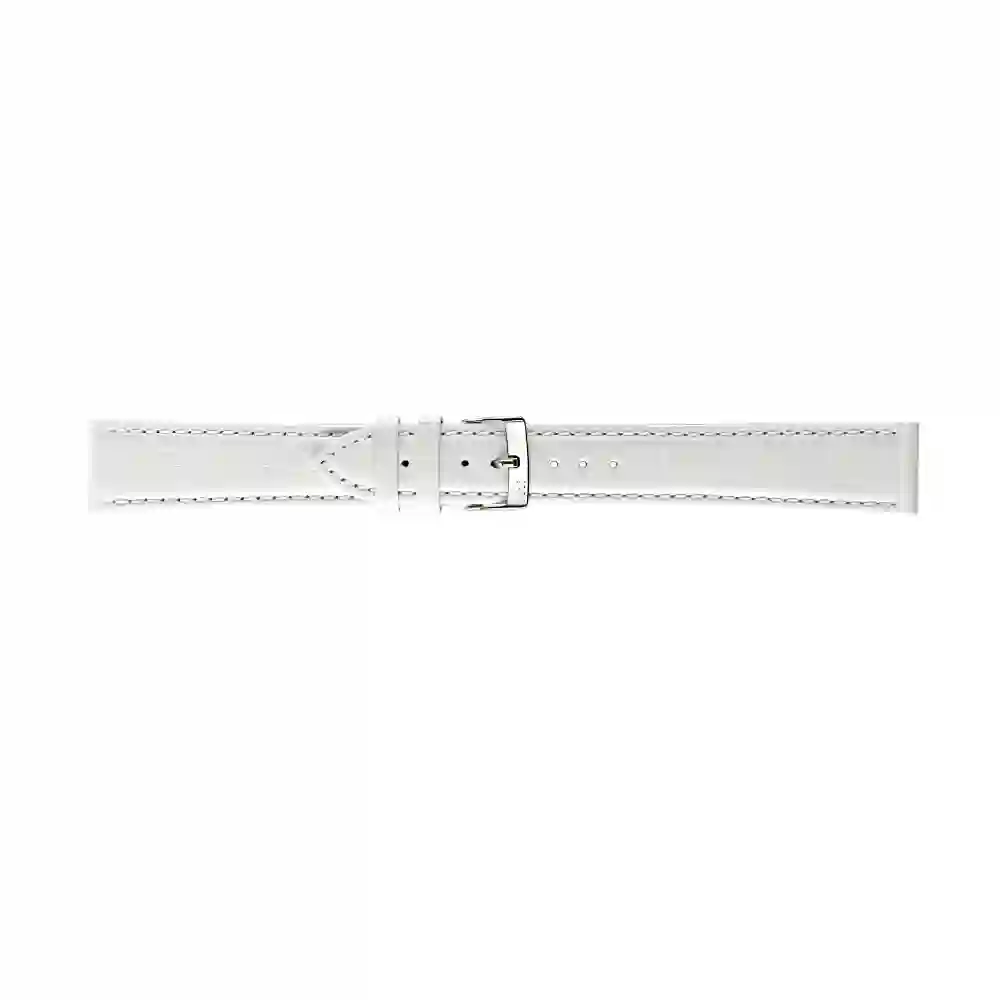Watch strap/A01Y2269480017CR18