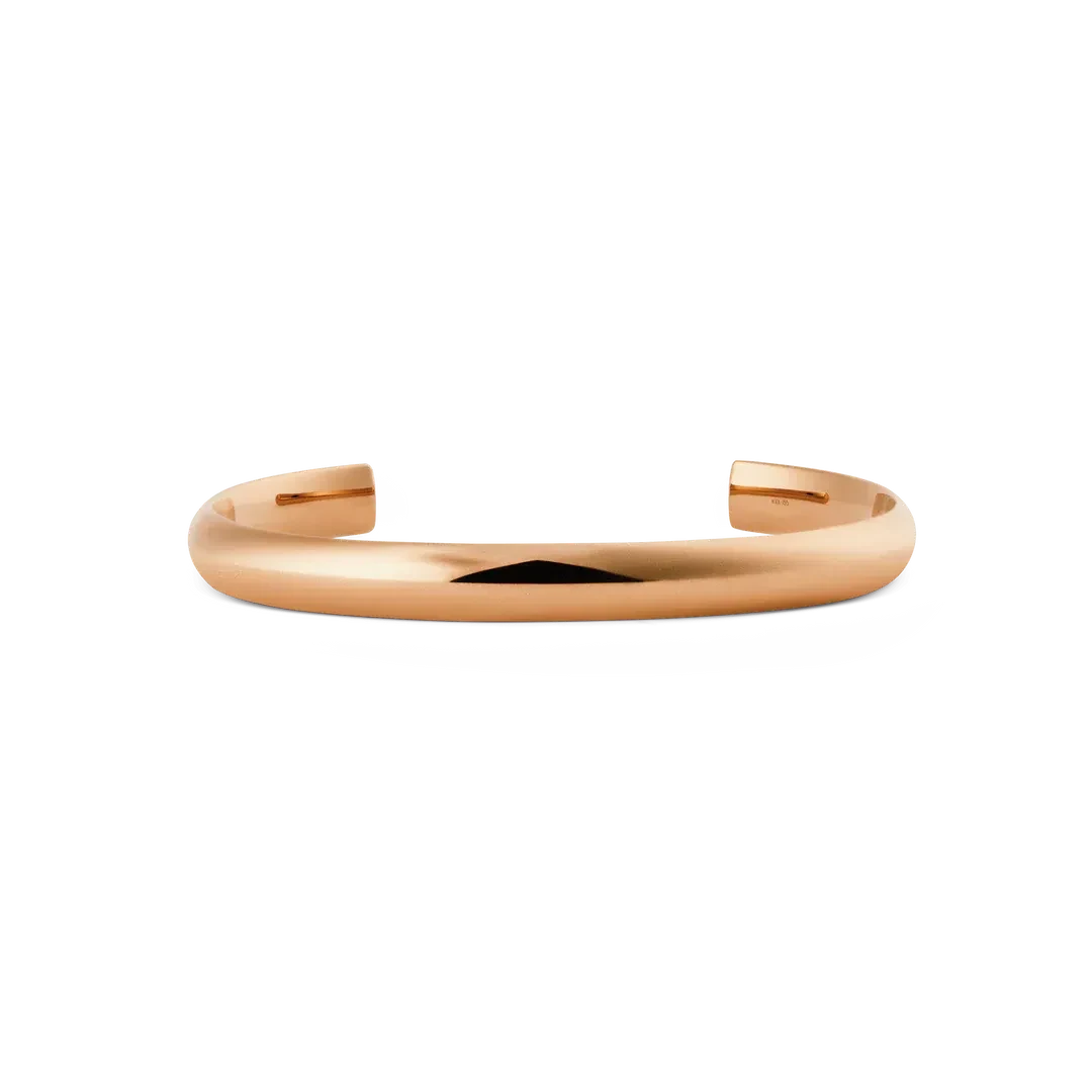 Daniel Wellington Bracelet/ DW00401987