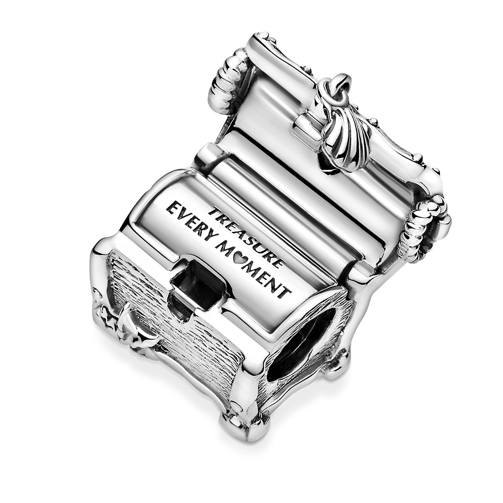 PANDORA Moments Արծաթյա Չարմ/ 799432C00