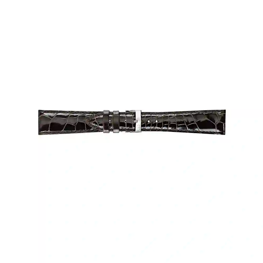 Watch strap/A01U0856056030CR18
