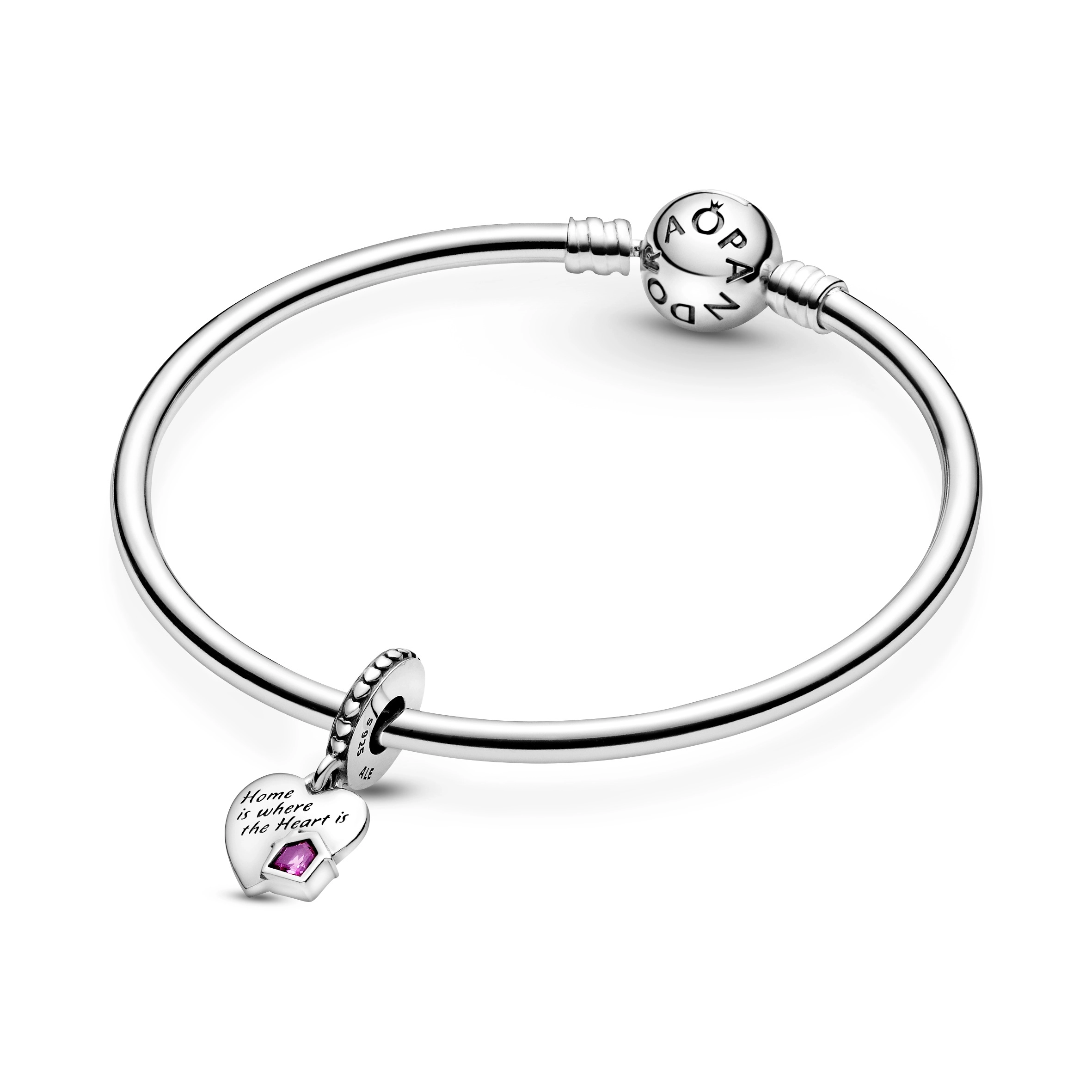 PANDORA Moments Արծաթյա Չարմ/ 799324C01
