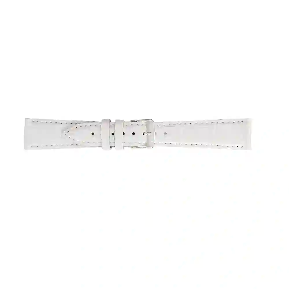 Watch strap/A01X2197052017CR16