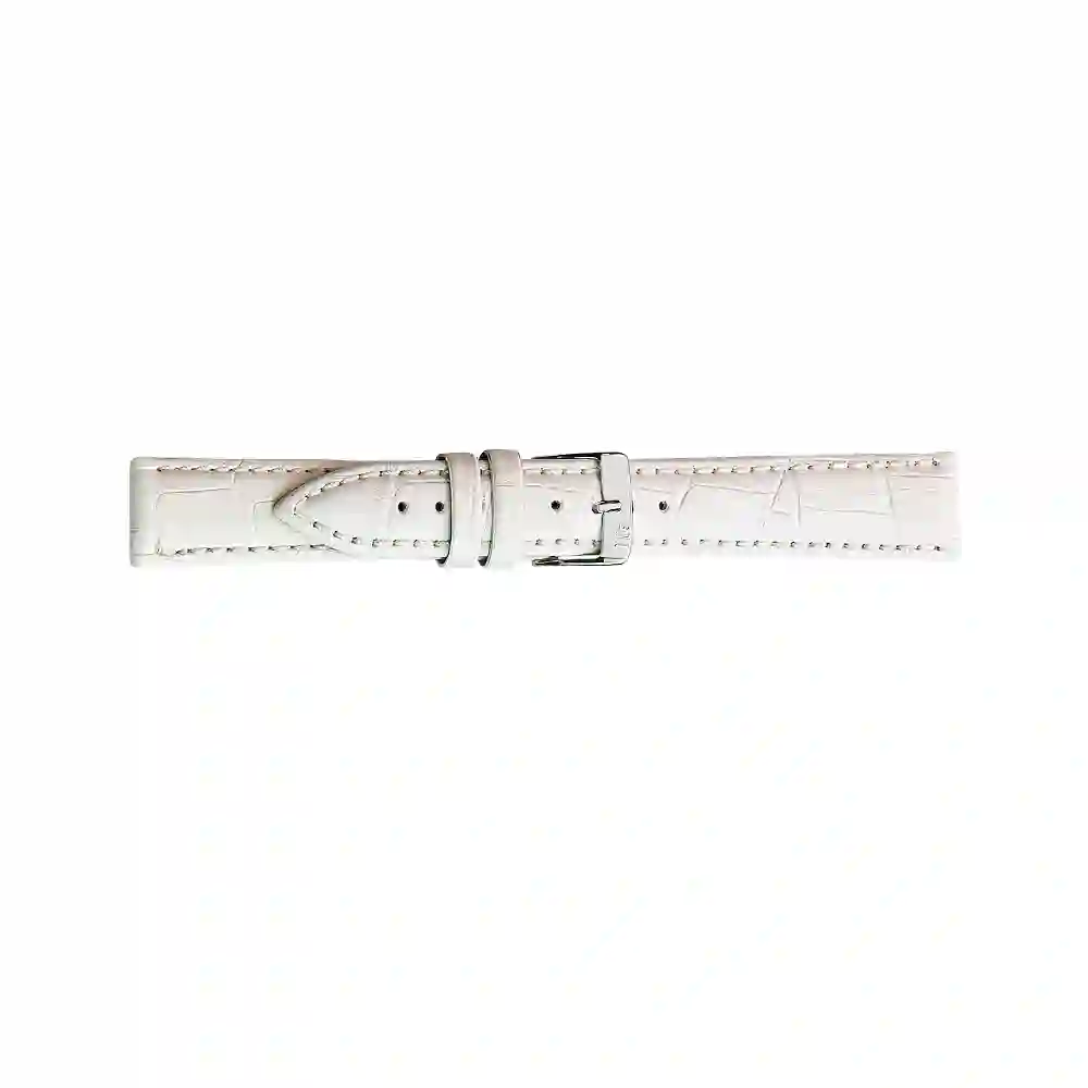 Watch strap/A01X2269480017CR12