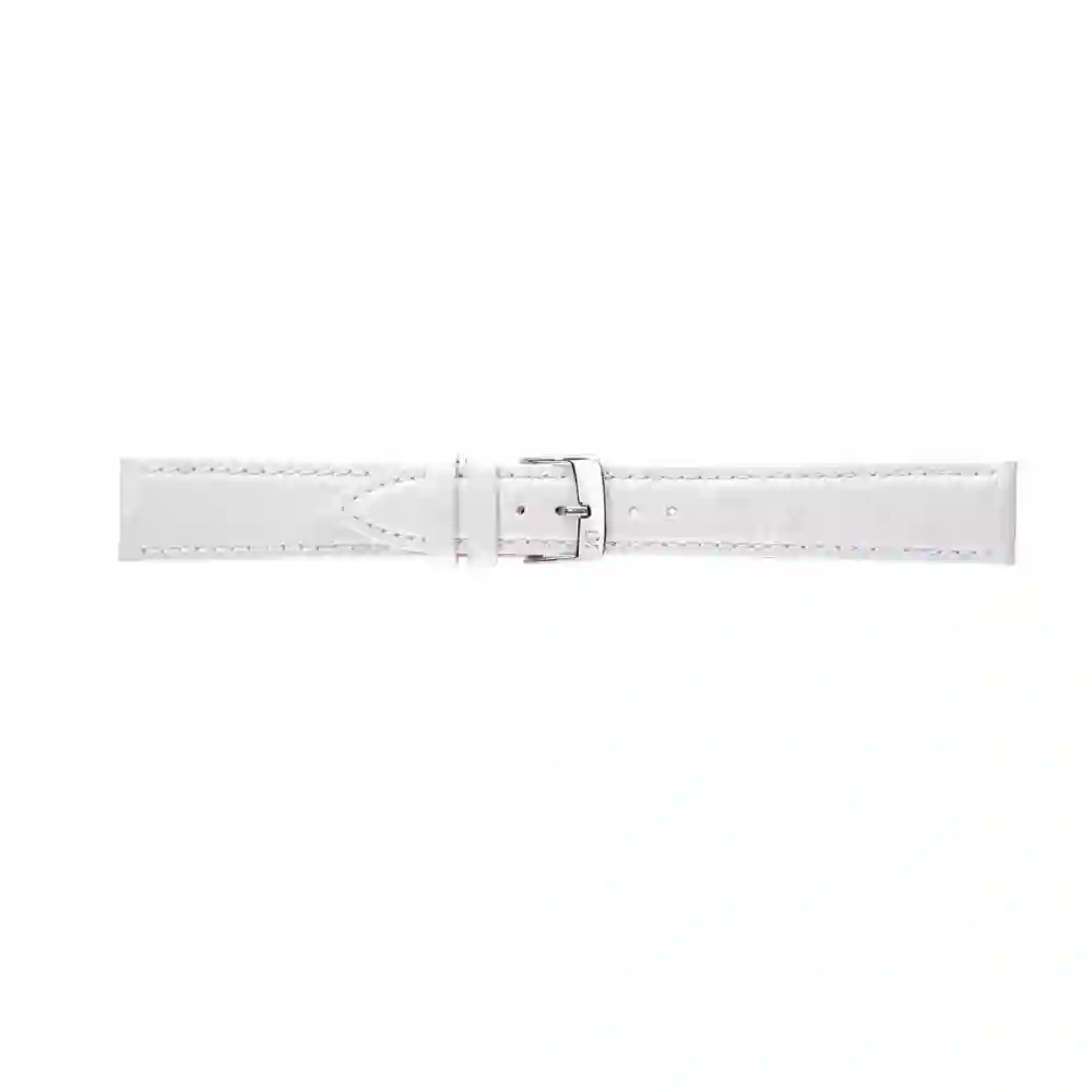 Watch strap/A01X4560498017CR16