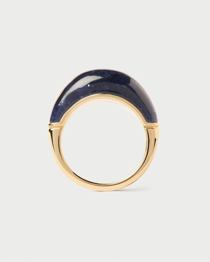 PDPAOLA 18K Gold Plated Silver Ring/ AN01-D33-18