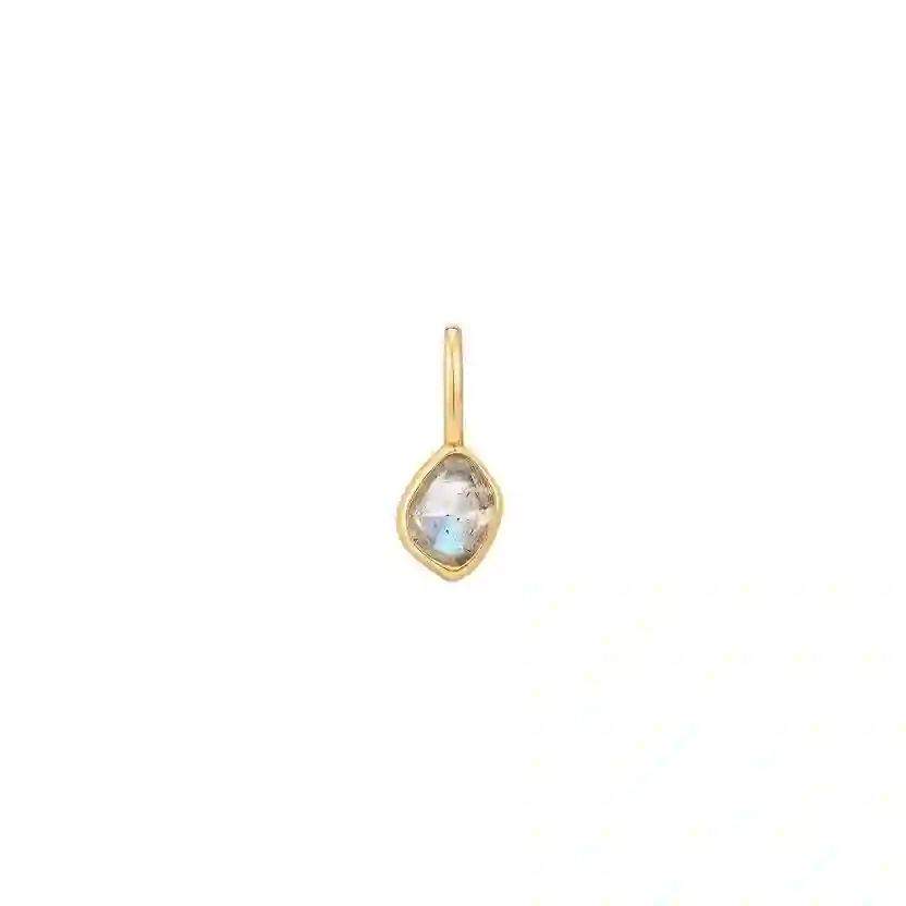 Ania Haie 14K Gold Plated Silver Charm/ NC048-11G