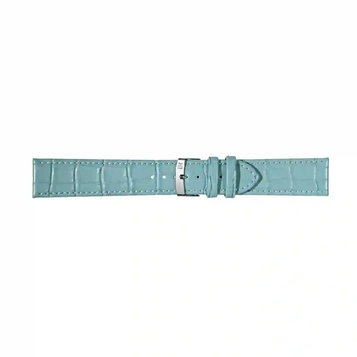 Watch strap/A01X4934A95076CR18