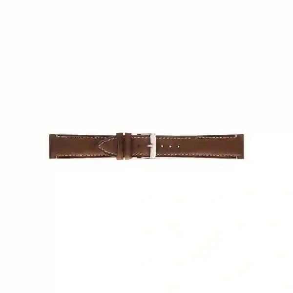 Watch strap/A01X5439B71041CR20