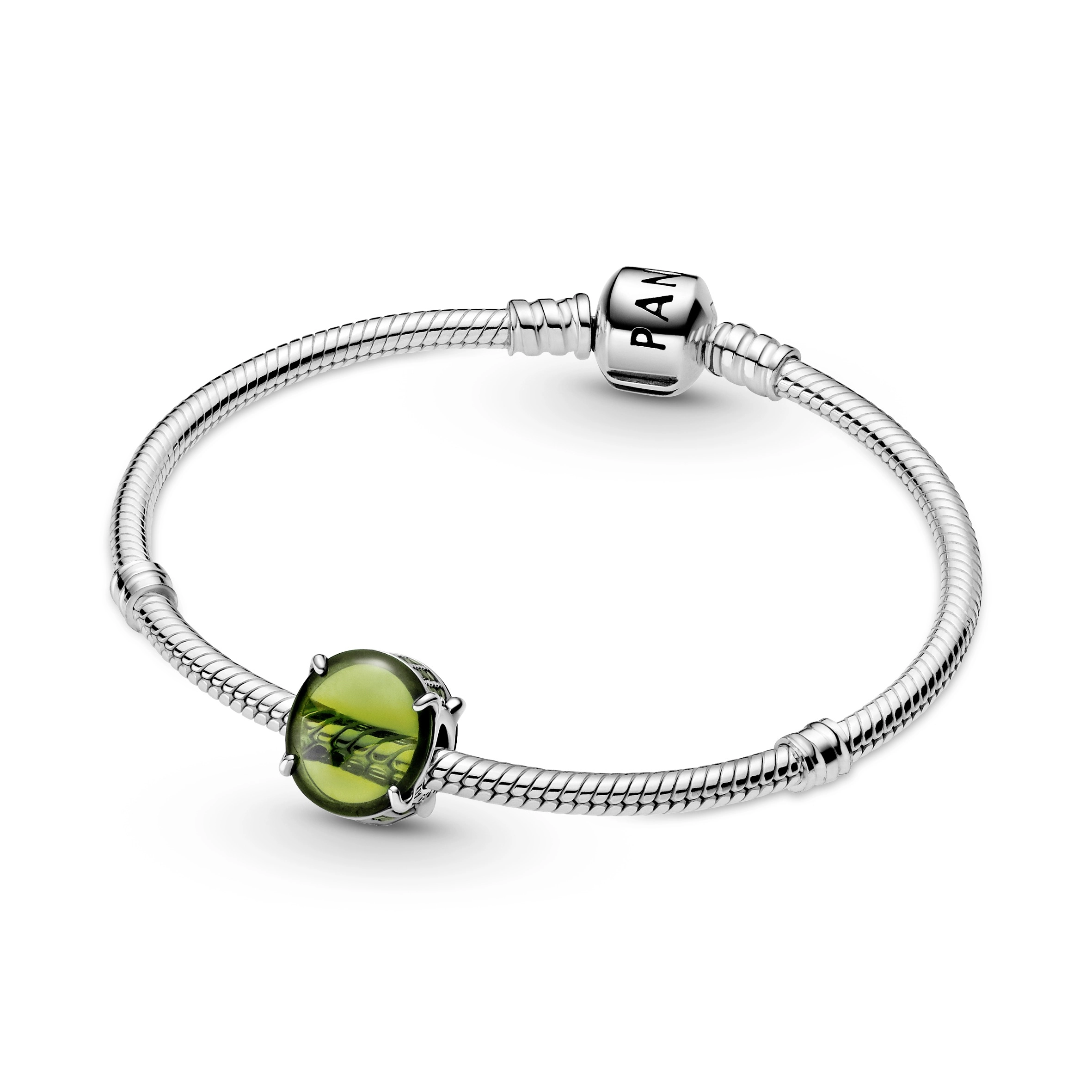 PANDORA Moments Արծաթյա Չարմ/ 799309C02