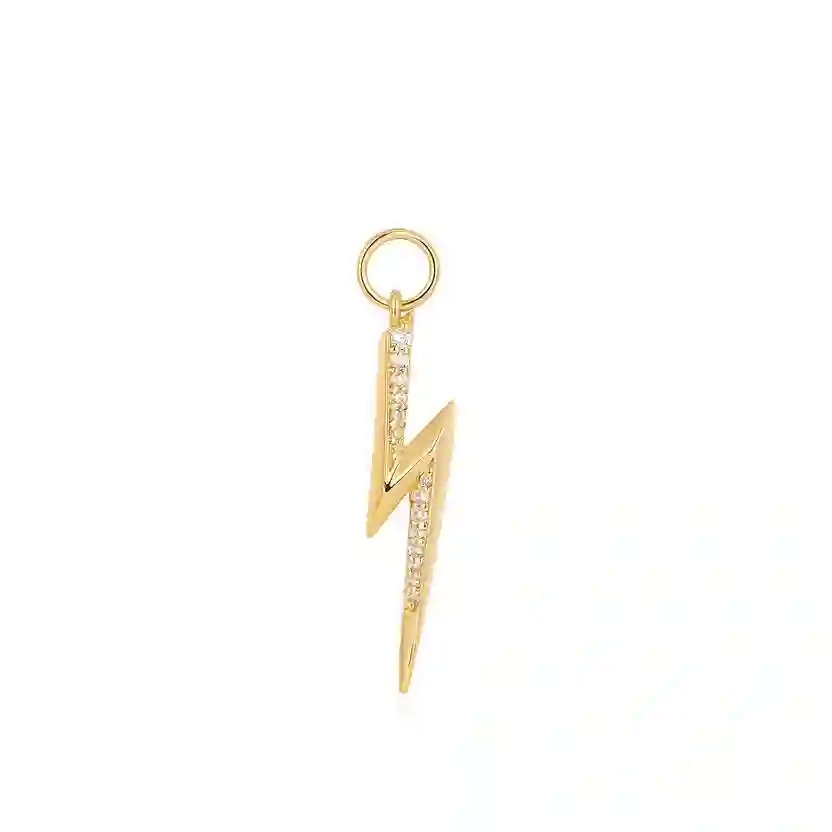 Ania Haie 14K Ոսկեպատ Արծաթյա Չարմ/ EC048-15G