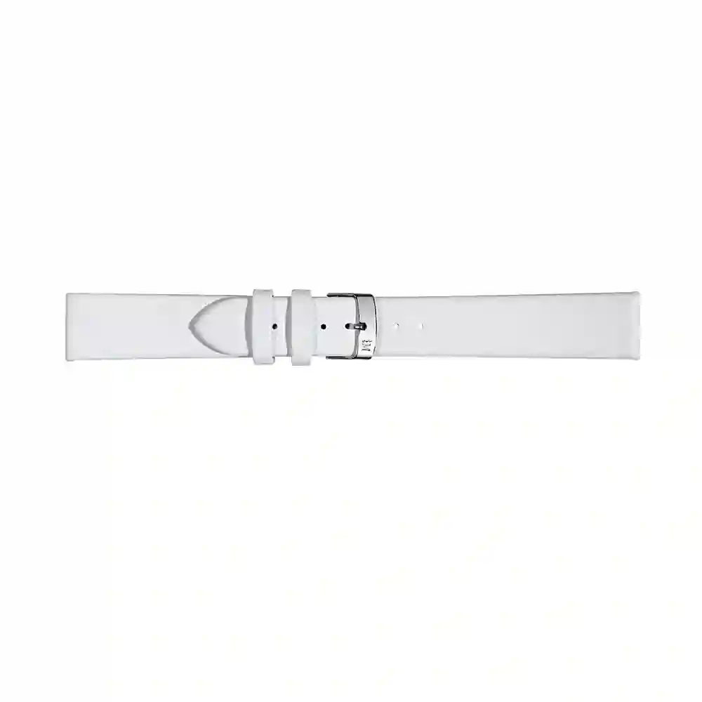 Watch strap/A01X5200875017CR08
